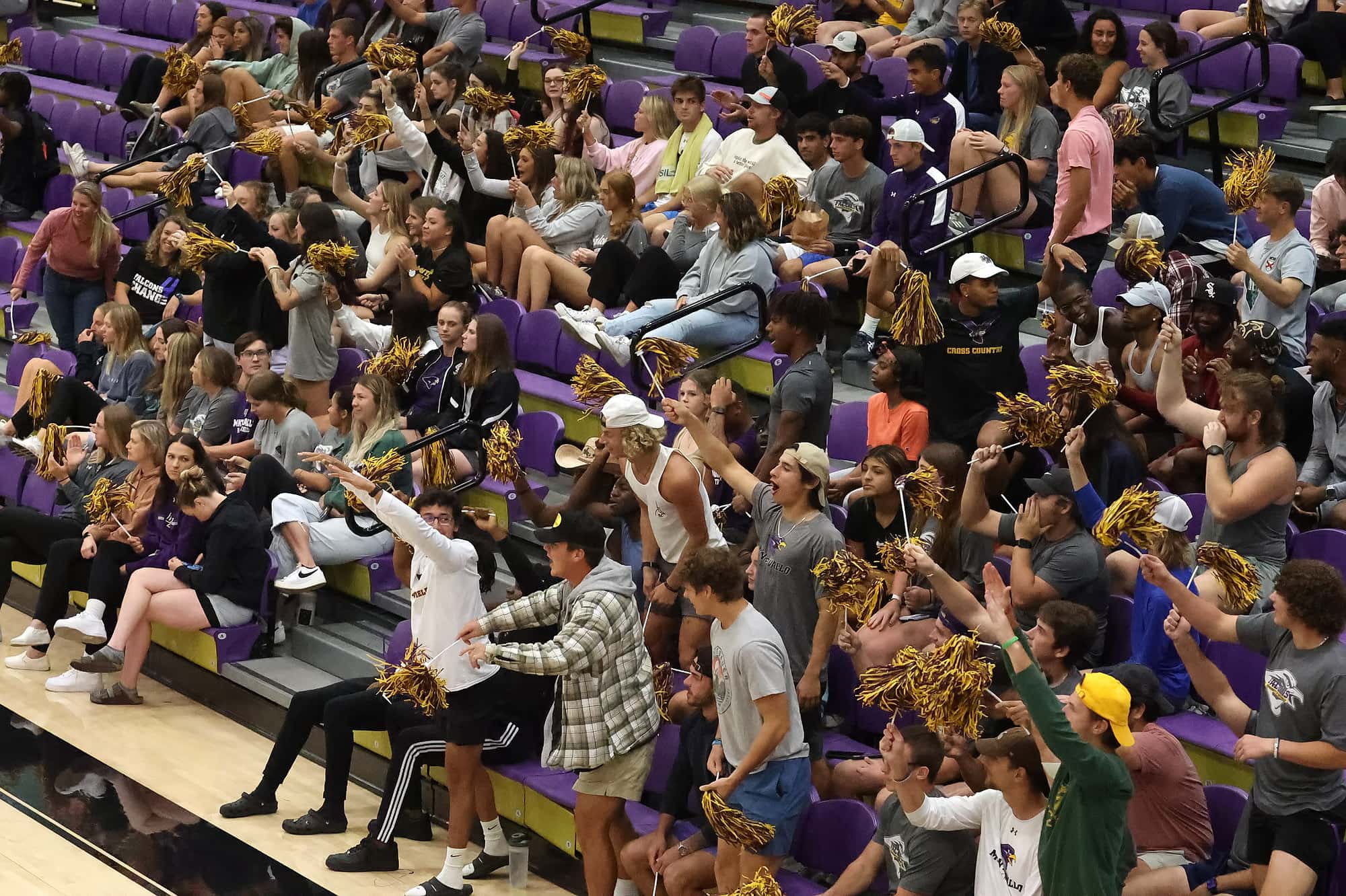 Volleyball Crowd cheering for the home team