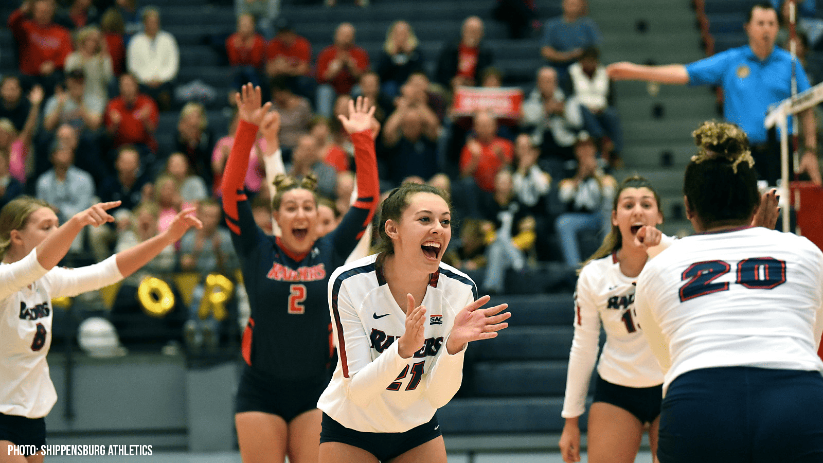 Shippensburg University volleyball team celebrating a point