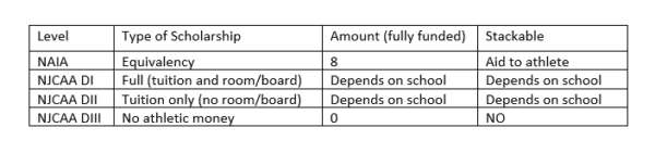 Scholarship basics for student-athletes playing in non-NCAA divisions