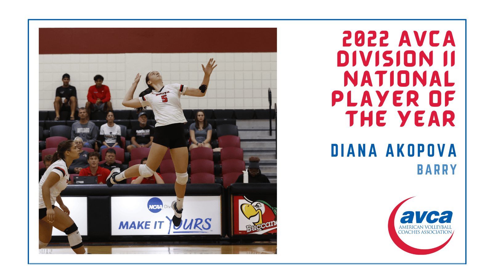 AVCA NCAA Division II Player of the Year AVCA Awards