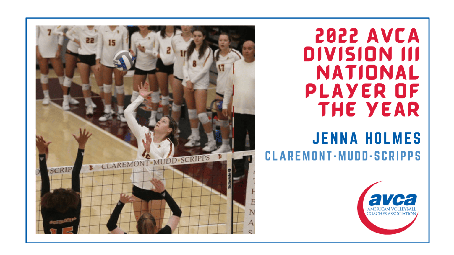 AVCA NCAA Division III Player of the Year AVCA Awards
