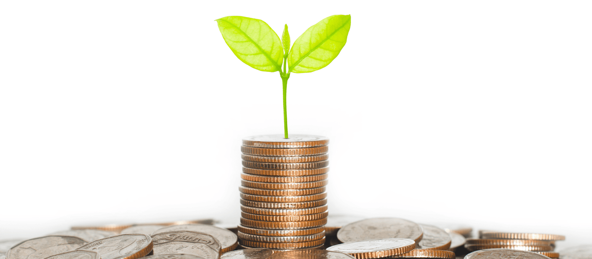 stack of coins with a leaf growing out of the top