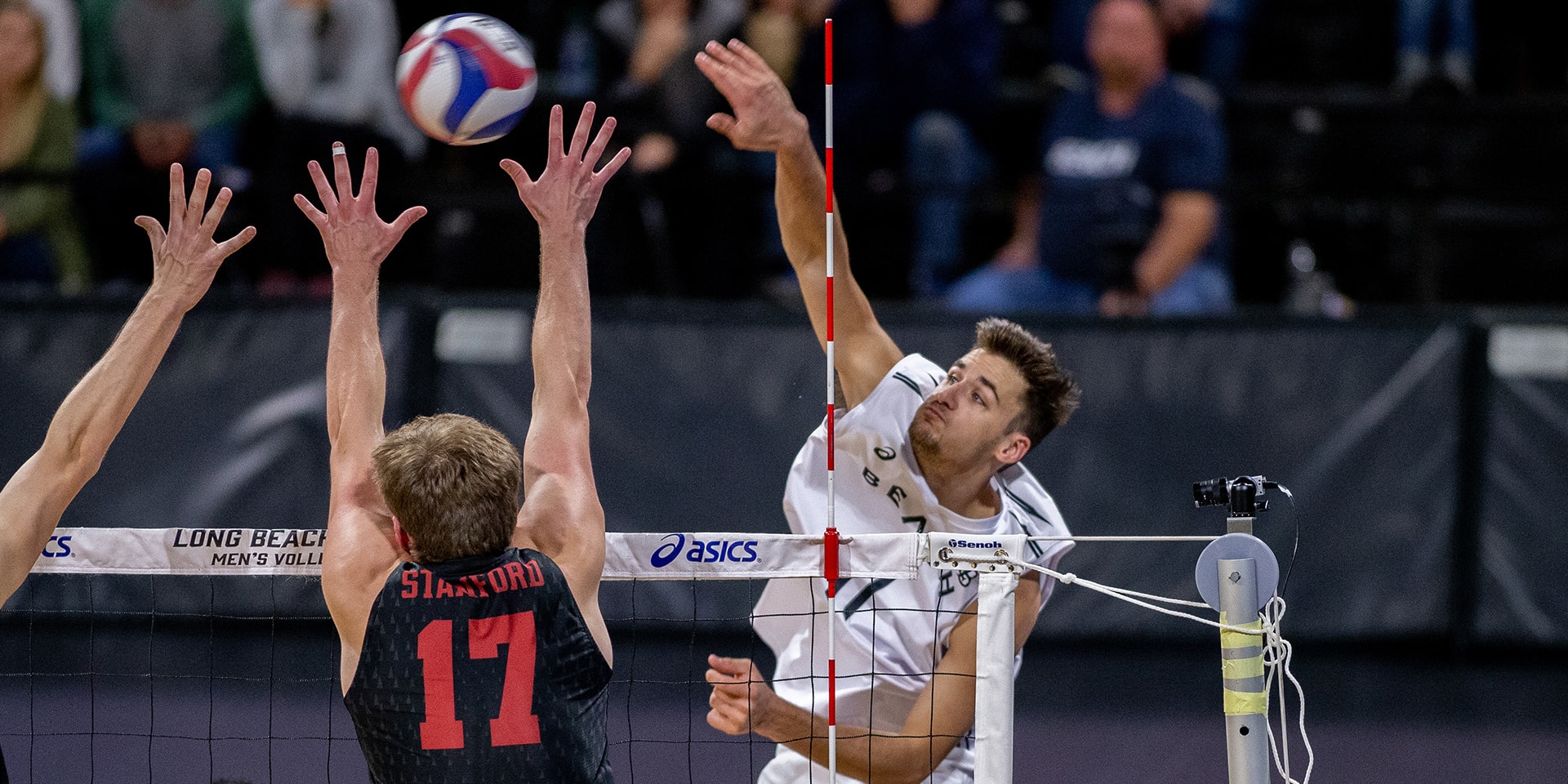 AVCA National Collegiate Men's Player of the Year AVCA Awards