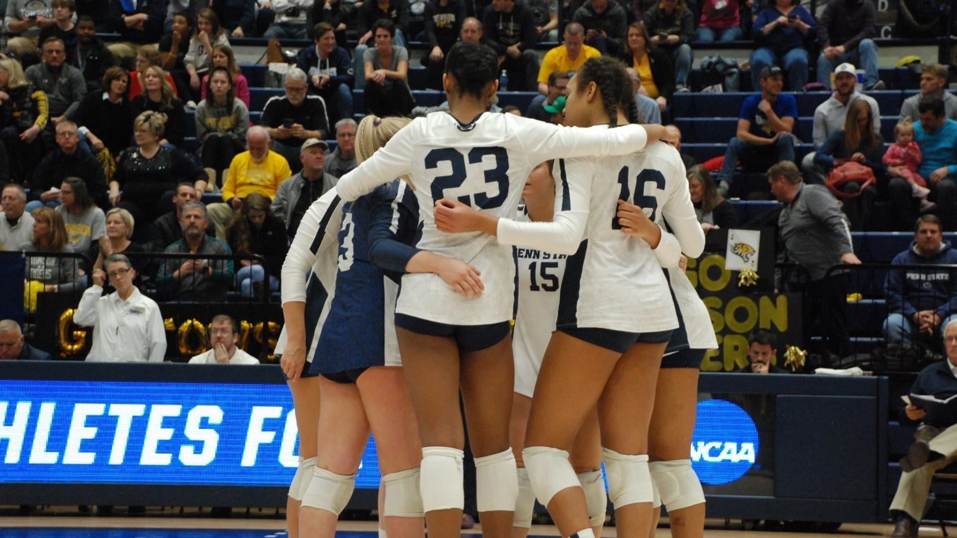 Volleyball team huddle