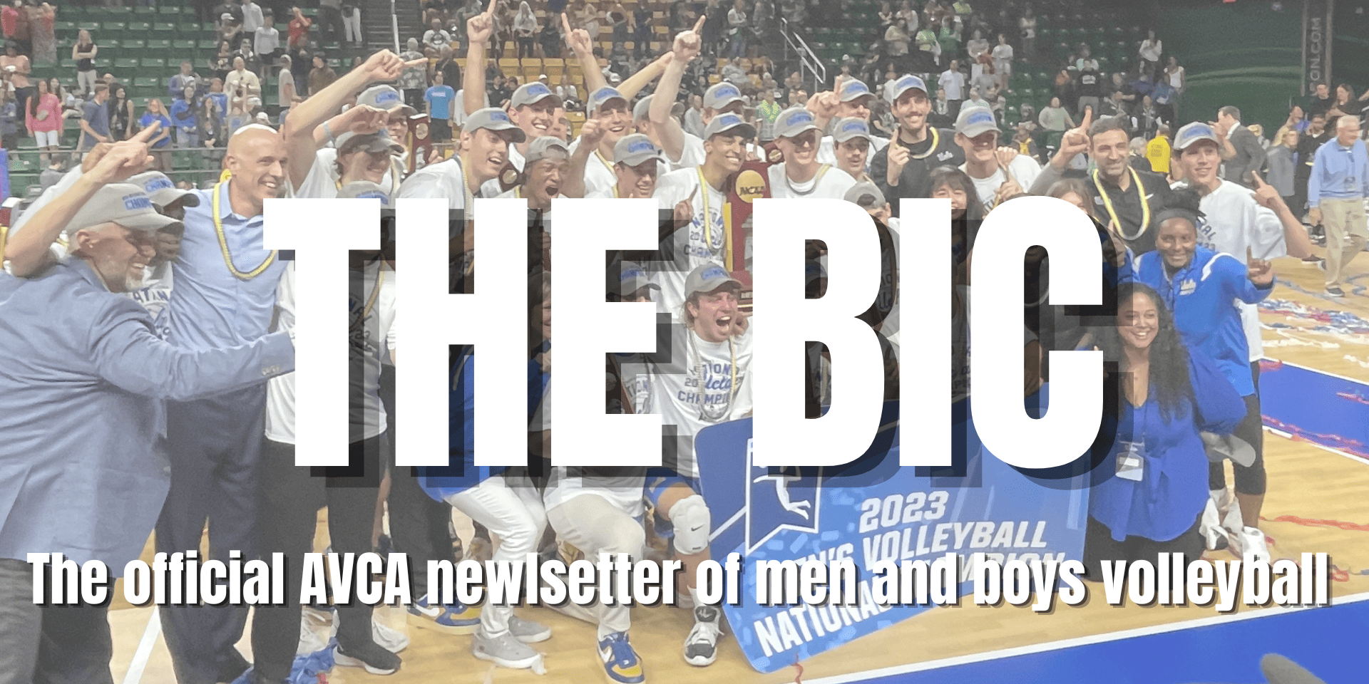 AVCA's The Bic Newsletter