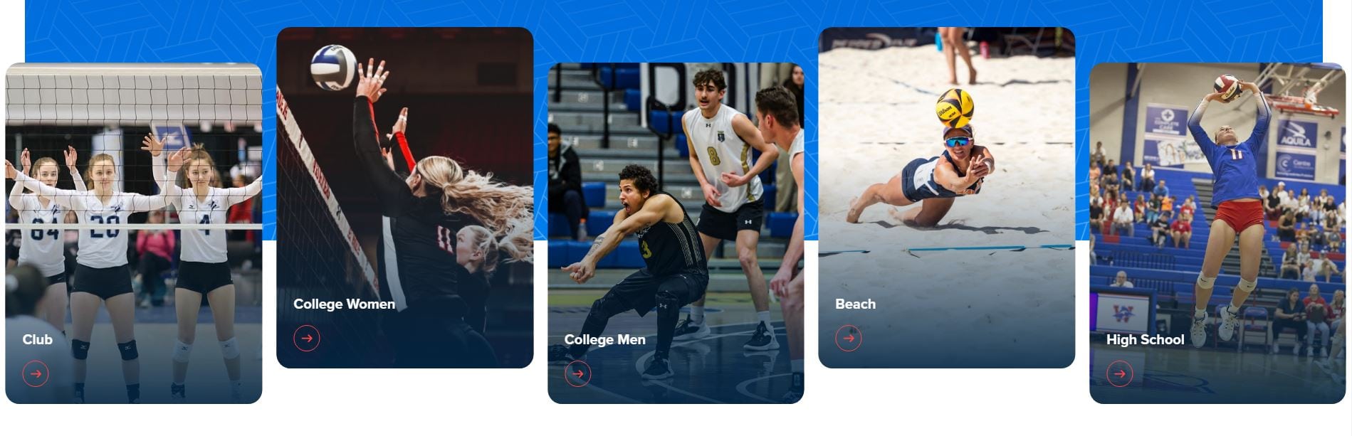 avca.org3