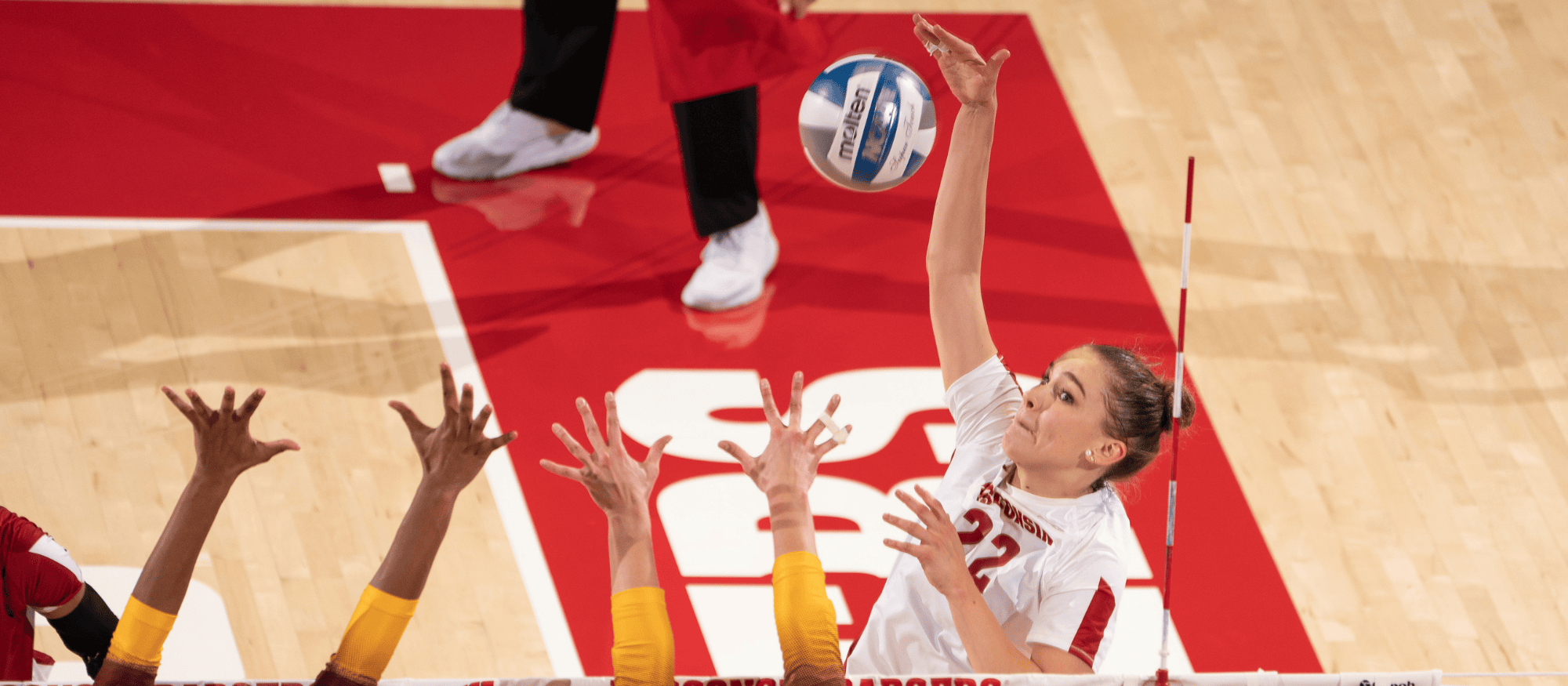 What you need to know about a european vball player (1)