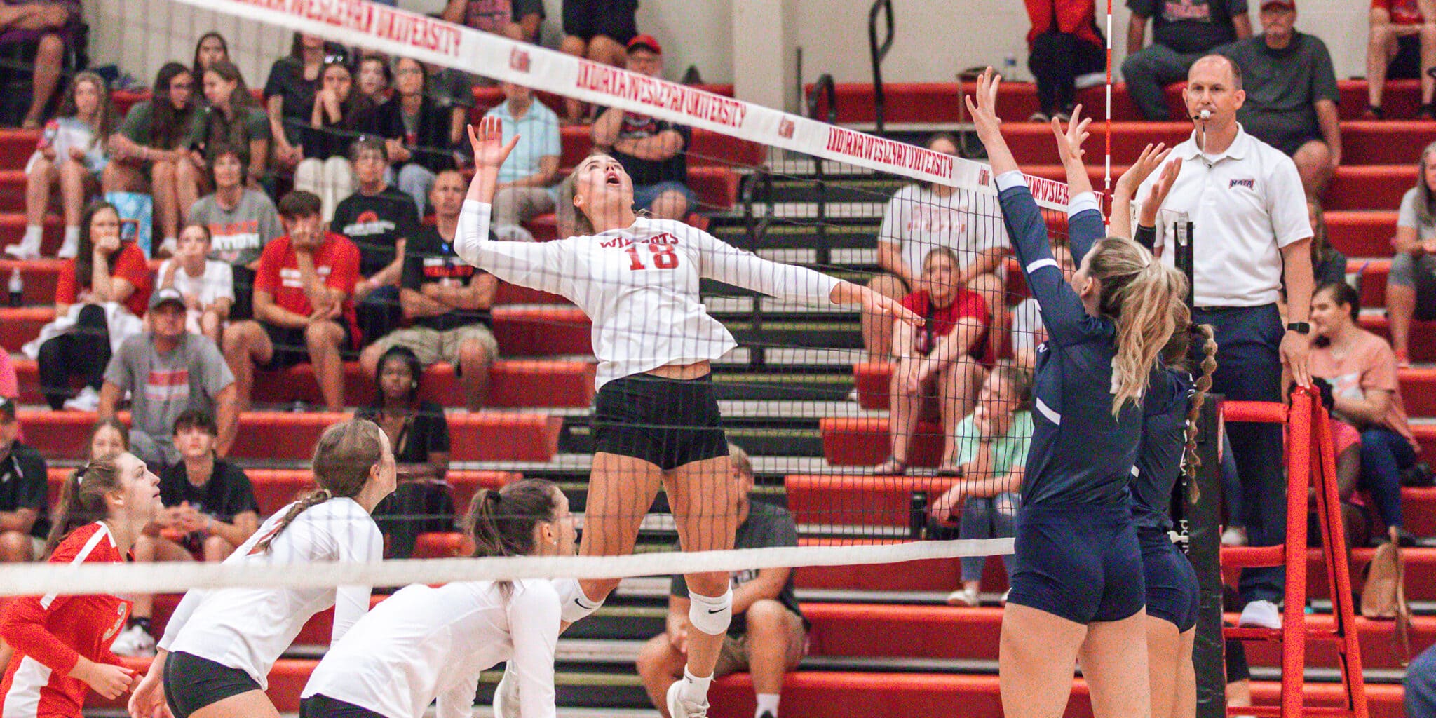 AVCA NAIA National Player of the Year AVCA Awards