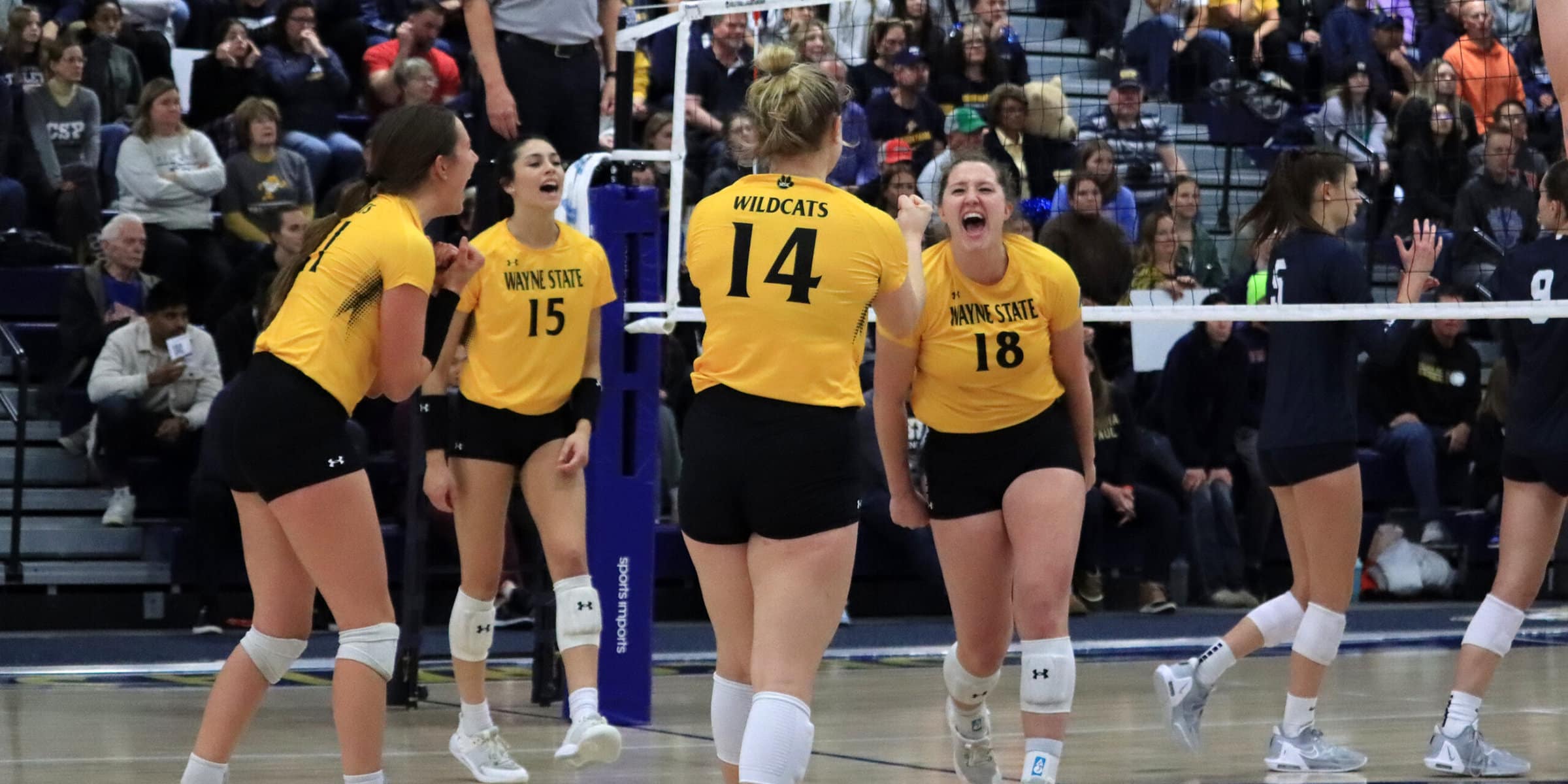 Wayne State's Maggie Brahmer (No. 18) is a first-team AVCA All-American for Division II women's volleyball in 2023.