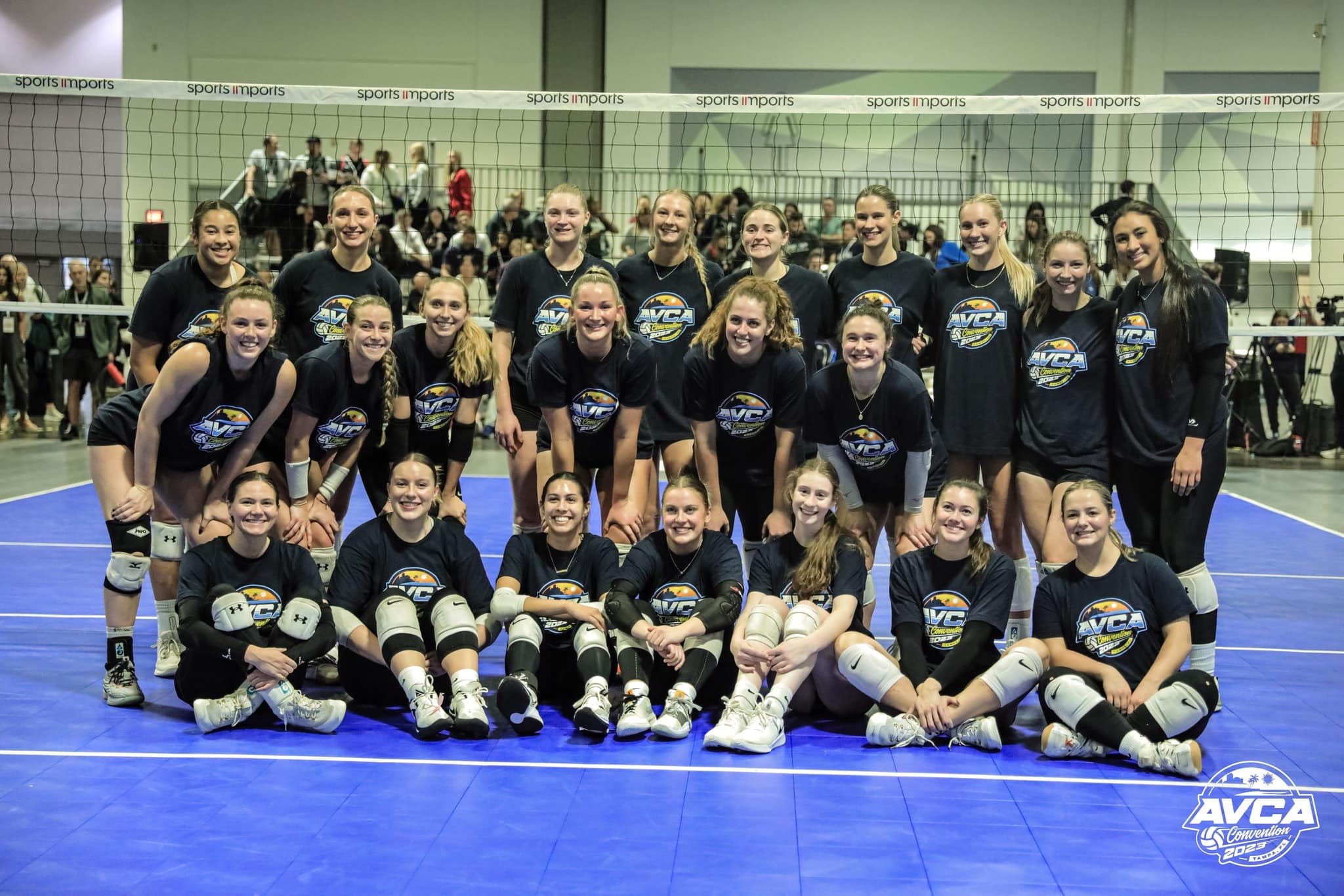 2025 AVCA Student Athlete Demonstrator Scholarship Application
