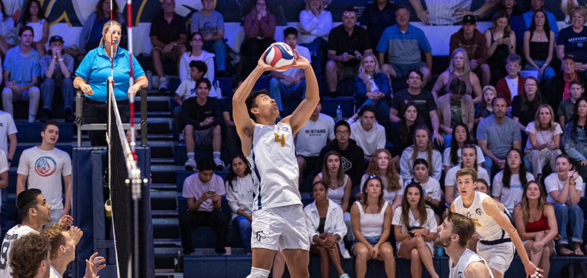 AVCA NAIA Men's Player of the Year AVCA Awards