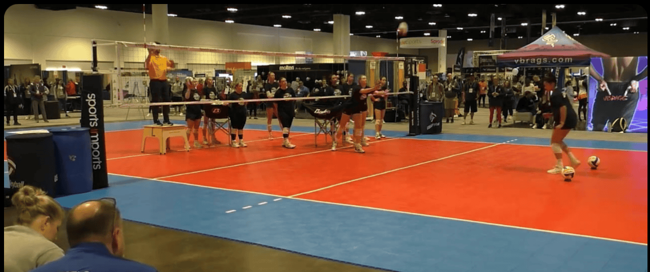AVCA Weekly Assist: August 27, 2024