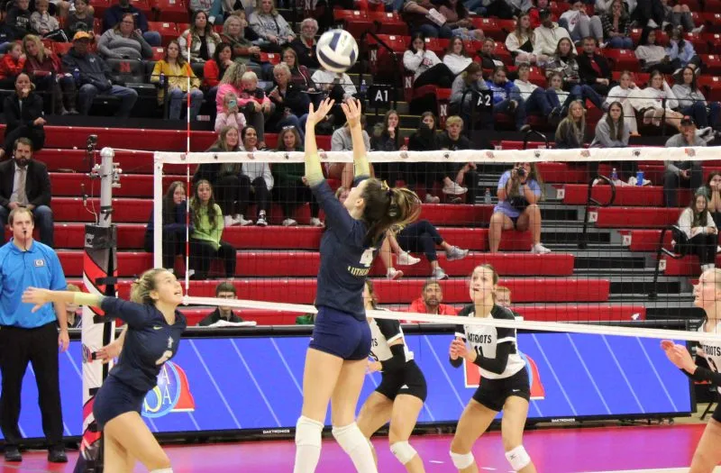 August 27, 2024: AVCA Affiliations