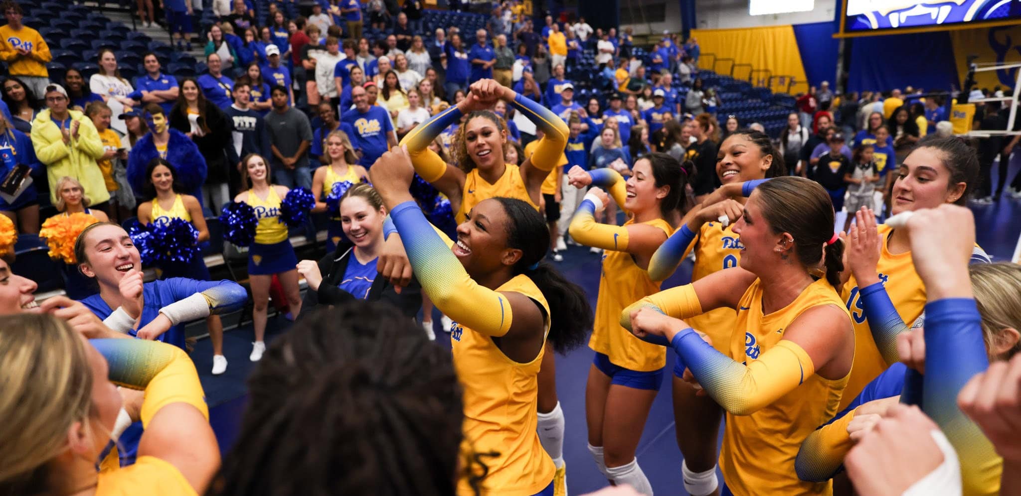 09-09-24 DI WVB Poll - Pitt2 - website
