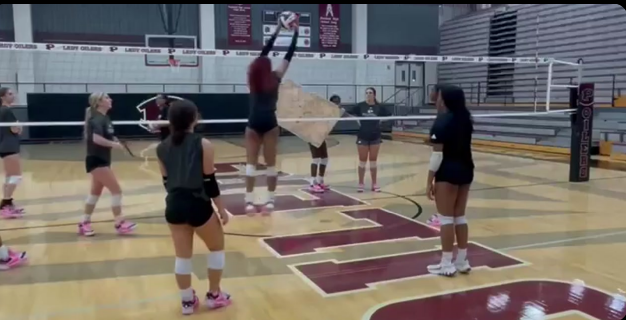 AVCA Weekly Assist: September 10, 2024