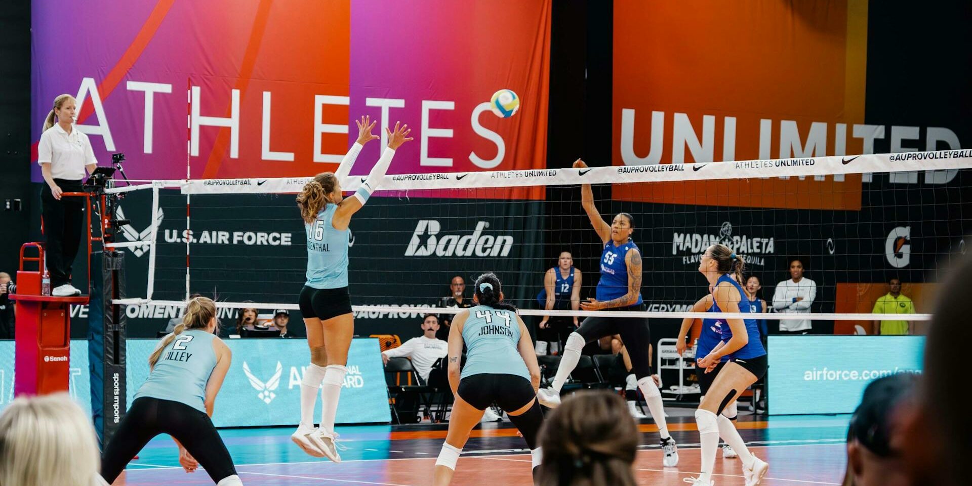 At the Net: November 6, 2024