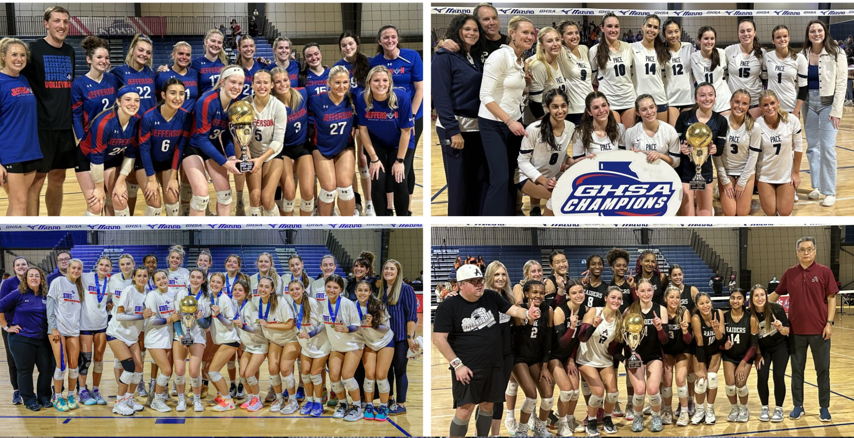 AVCA Affiliations: November 26, 2024