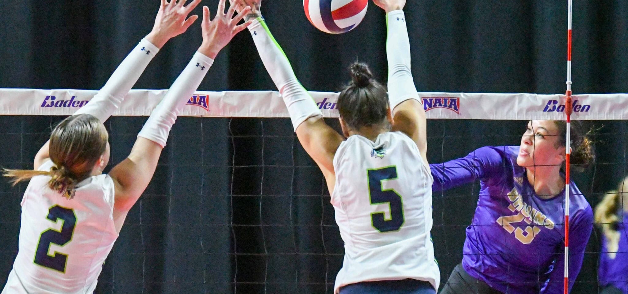 2024 AVCA Women's NAIA AllAmerica AVCA Awards