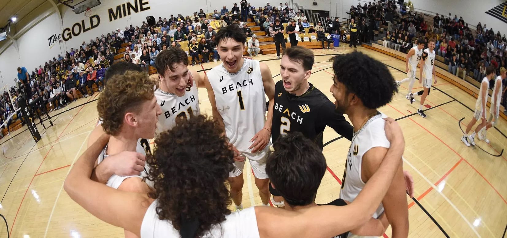 Long Beach State is ranked No.1 in the AVCA National Collegiate men's volleyball poll for the week of Jan. 20-26.