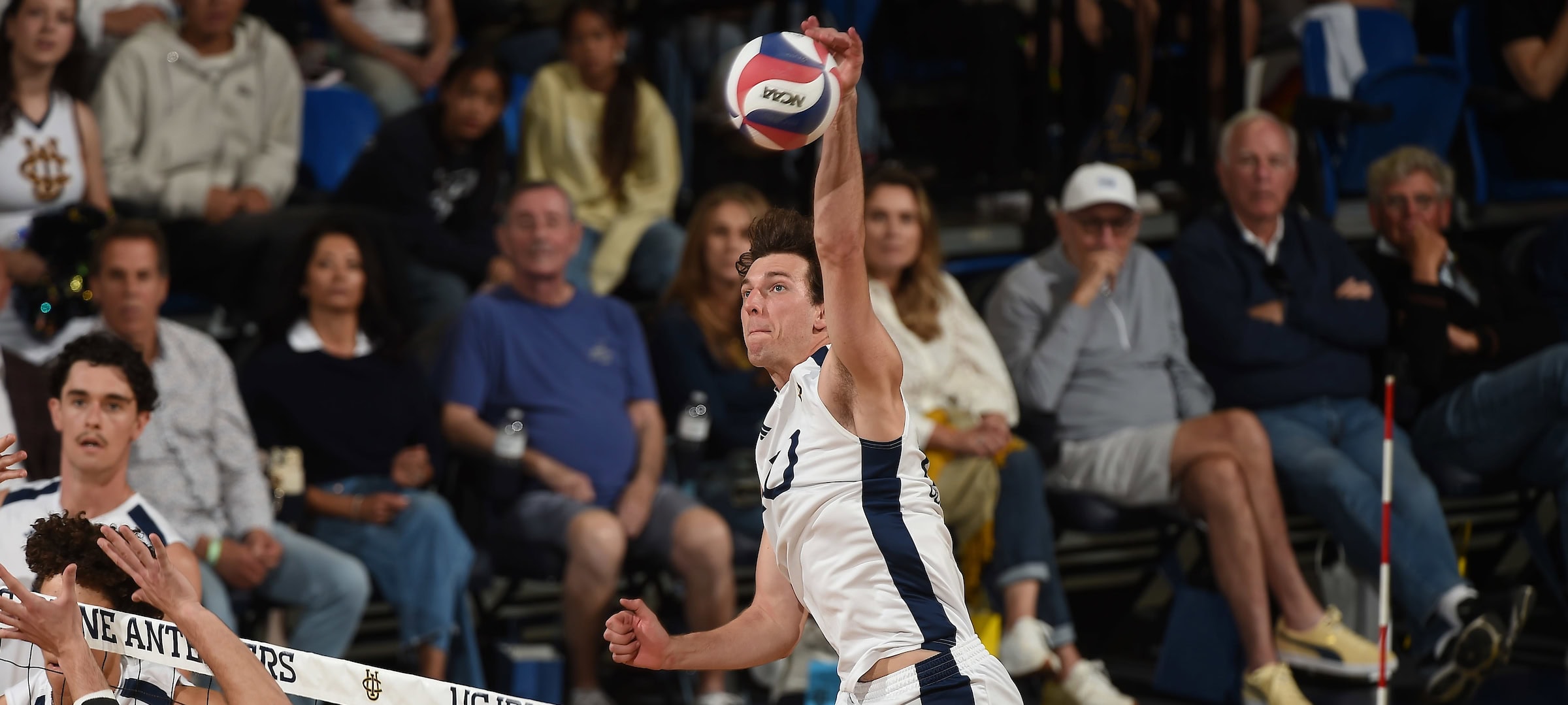 Henno Receives AVCA Distinction of Excellence Award