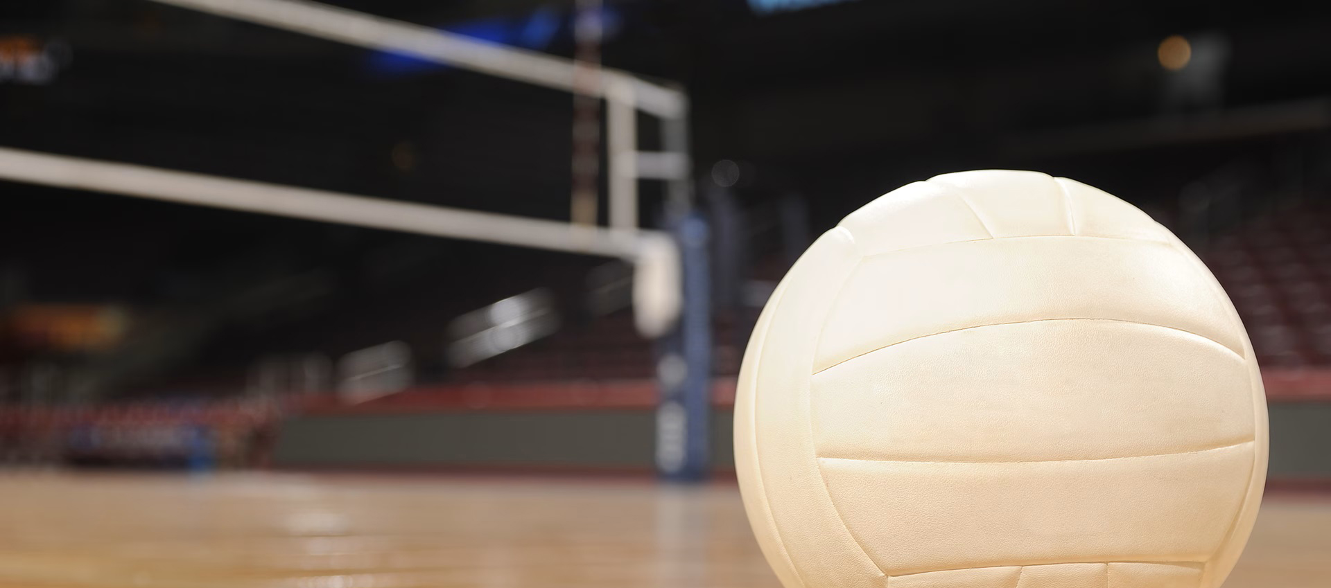 AVCA Update: Olympic Sports Advocacy