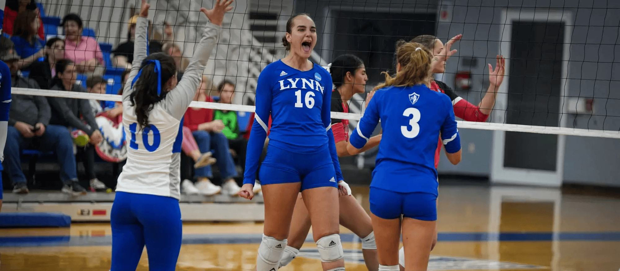 AVCA 2025 Division II WVB Preseason Poll