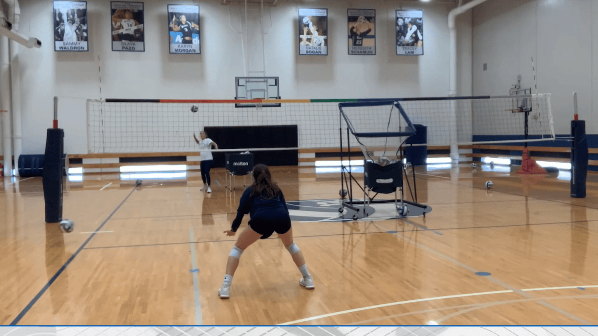 AVCA Weekly Assist: September 3, 2025