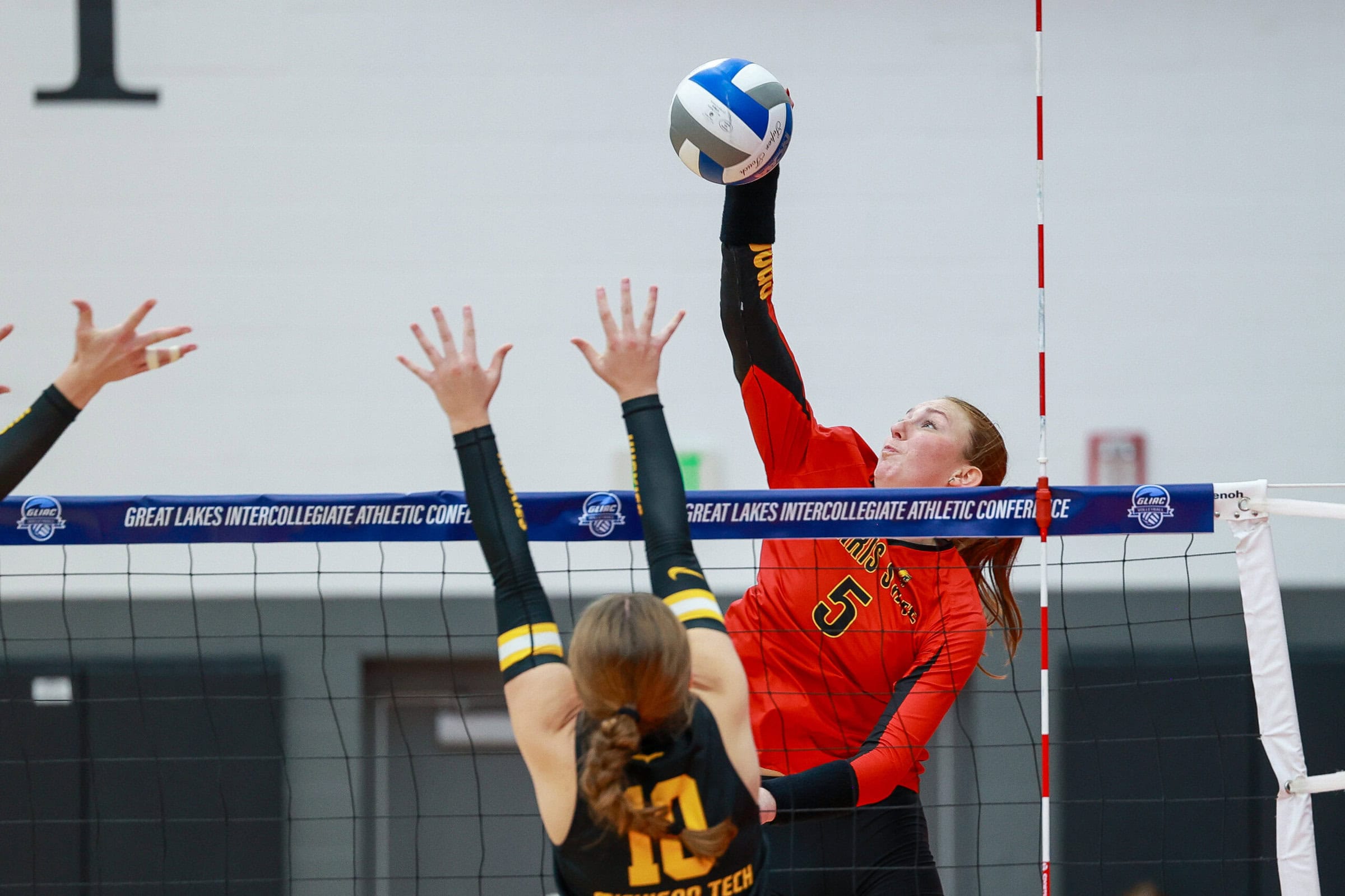 AVCA Division II Women’s All-Region/All-America, Region and National Coaches of the Year Nominations