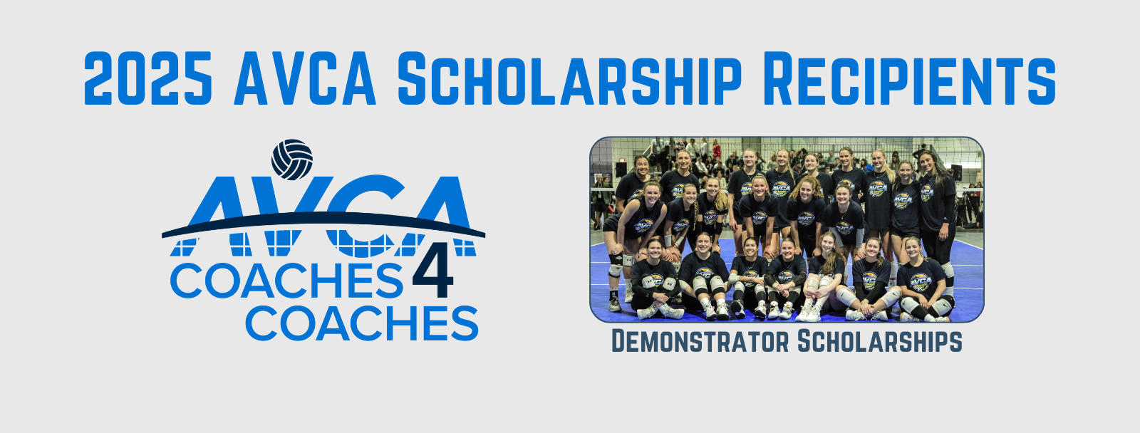 AVCA Bringing Nearly 100 Scholarship Recipients to Convention