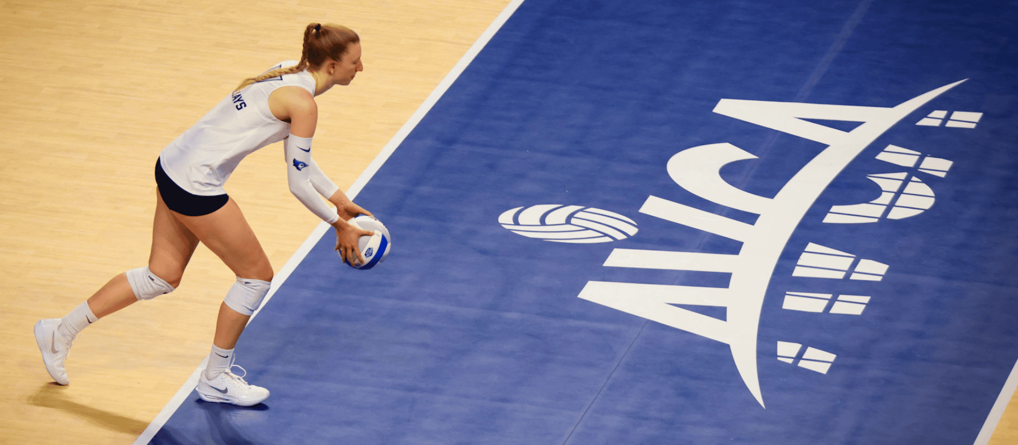 AVCA Offering Fall 2026 Semester Internships