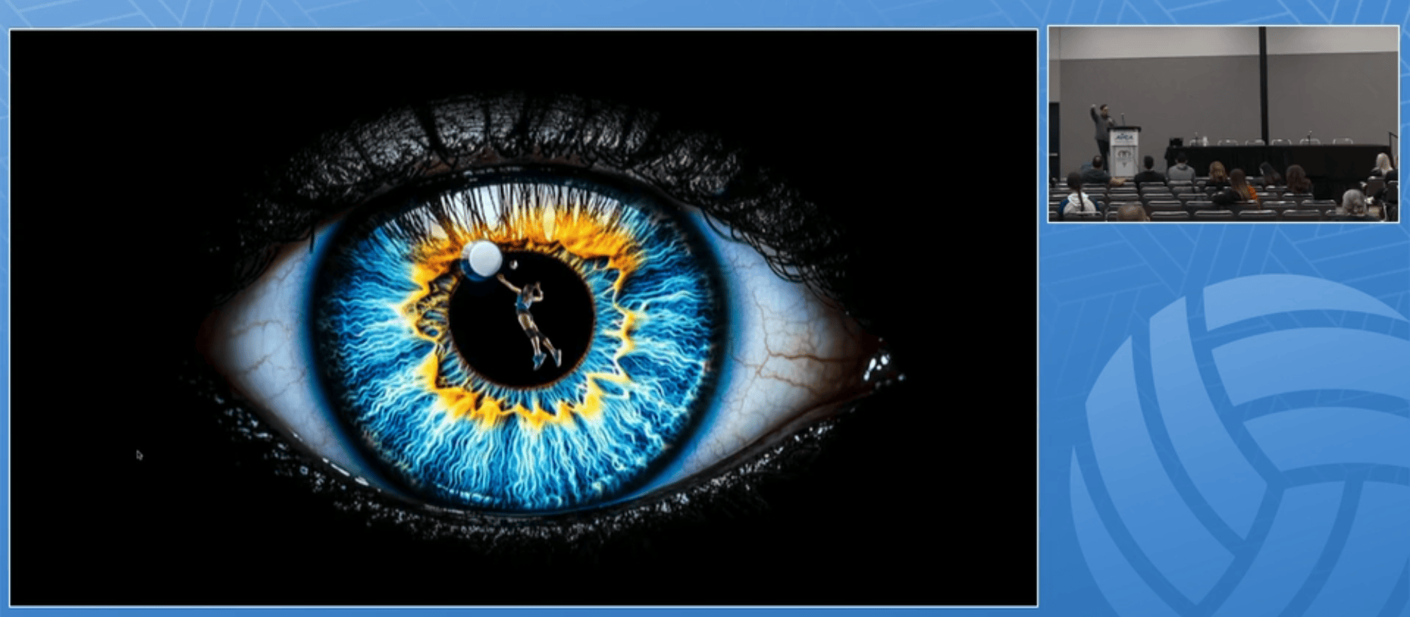 Seeing the Game: The Visuomotor Foundations of Reading, Decision-Making, and Movement