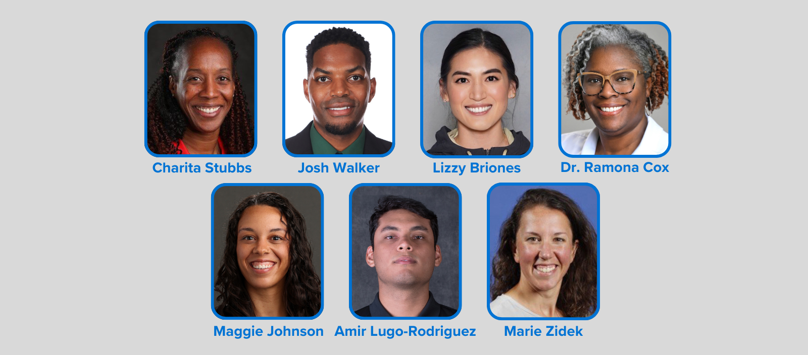 AVCA T.E.A.M. Committee Members Announced